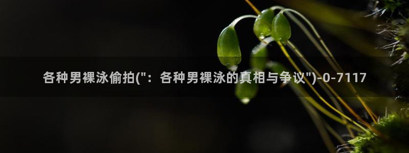 更多精品偷拍视频