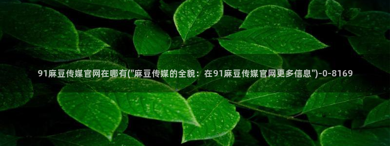 麻豆视传媒app官网：91麻豆传媒官网在哪有(\