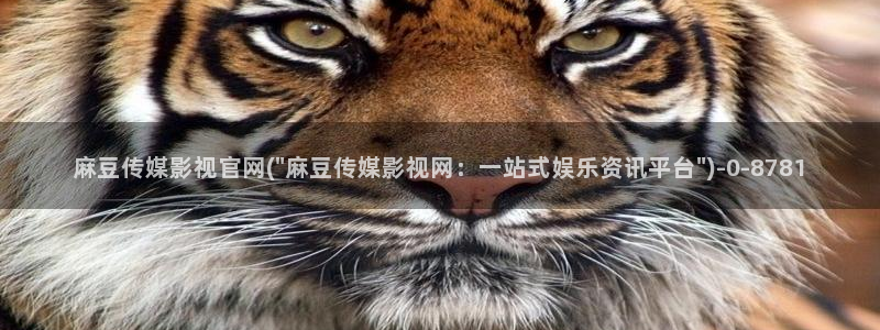 麻豆传媒直播官网一：麻豆传媒影视官网(\