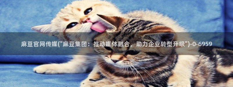 麻豆传媒官网多少啊：麻豆官网传媒(\