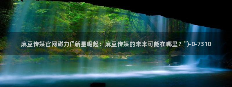 麻豆传媒官网芒果视频：麻豆传媒官网磁力(\