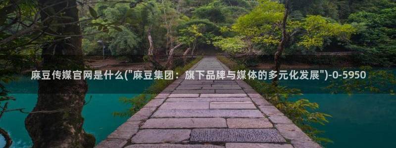 麻豆自传媒 官网：麻豆传媒官网是什么(\