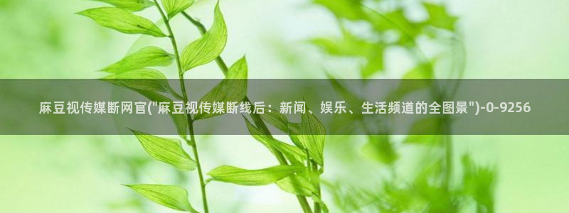 麻豆出传媒官网：麻豆视传媒断网官(\