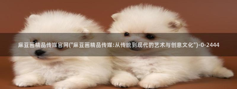 麻豆官网传媒在线观看：麻豆画精品传媒官网(\