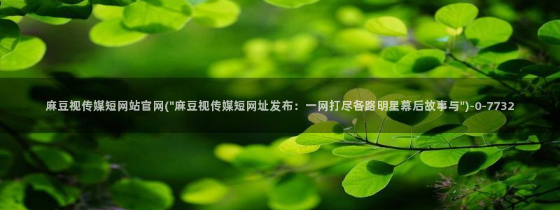 麻豆传媒动画官网：麻豆视传媒短网站官网(\