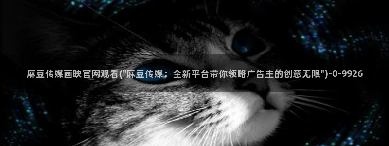 台湾91麻豆传媒官网：麻豆传媒画映官网观看(\