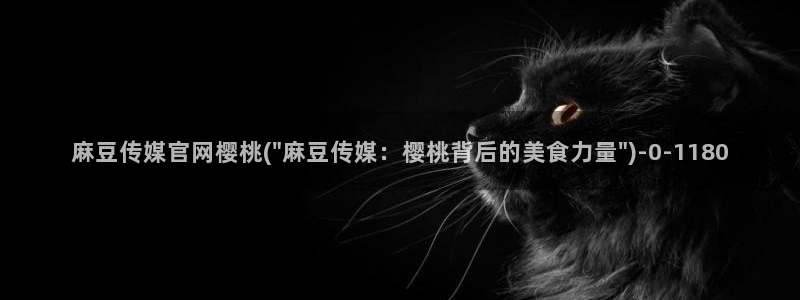 台湾麻豆传媒app官网