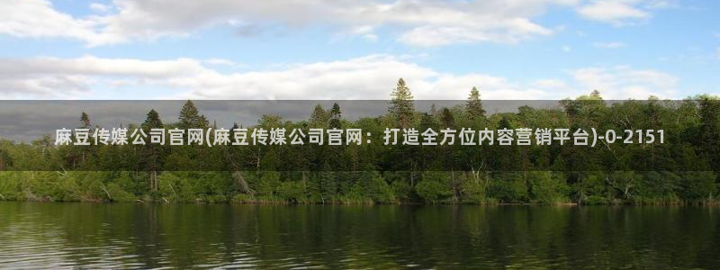 麻豆传媒官网入口免费