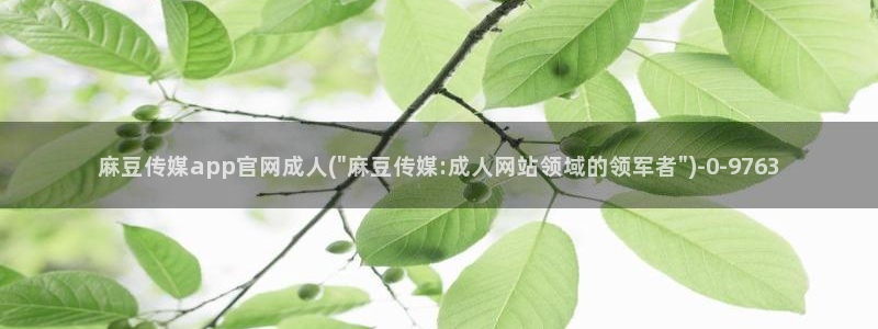 麻豆传媒官网番号：麻豆传媒app官网成人(\