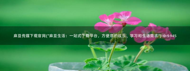 麻豆传媒官网论坛：麻豆传媒下载官网(\