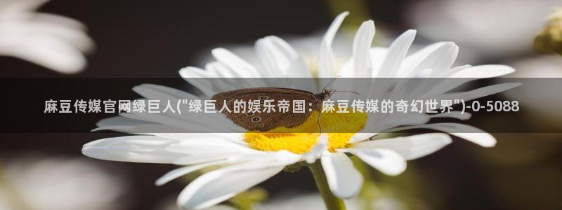 麻豆官网传媒入口：麻豆传媒官网绿巨人(\