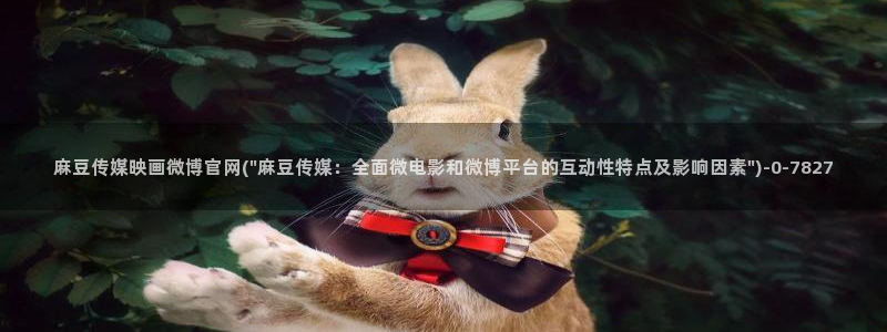 麻豆 传媒官网进入：麻豆传媒映画微博官网(\