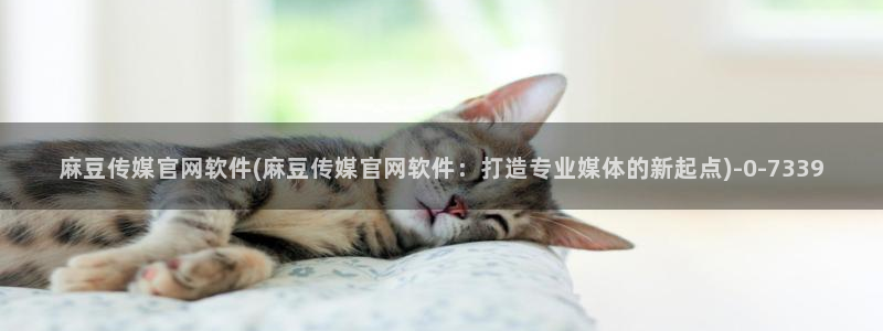 麻豆传媒官网女主：麻豆传媒官网软件(麻豆传媒官网软件：打造专业媒体的新起点)