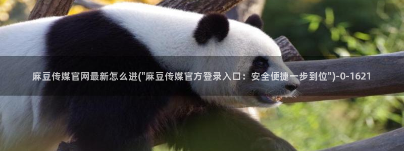 麻豆文化传媒官网免费：麻豆传媒官网最新怎么进(\