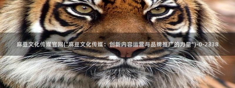 md麻豆传媒官网：麻豆文化传媒官网(\