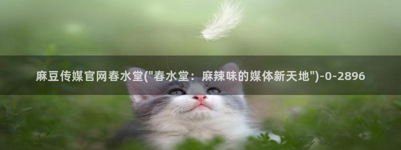 麻豆tv传媒官网入口：麻豆传媒官网春水堂(\