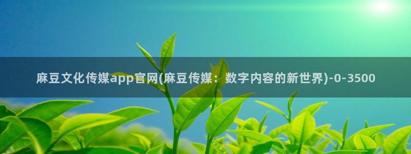 麻豆传媒系列视频官网