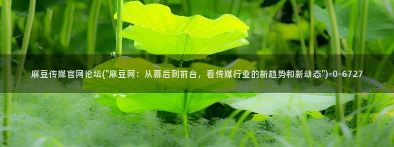 麻豆床传媒官网免费视频