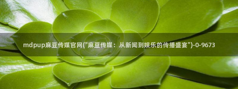 麻豆传媒官网油管：mdpup麻豆传媒官网(\