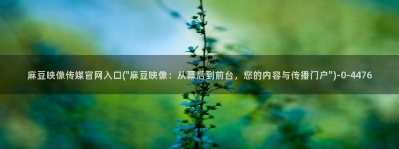 麻豆传媒直播官网H：麻豆映像传媒官网入口(\