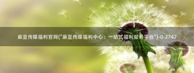 9 1麻豆传媒官网