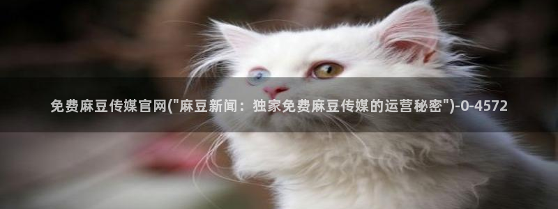 麻豆传媒官网入口免费