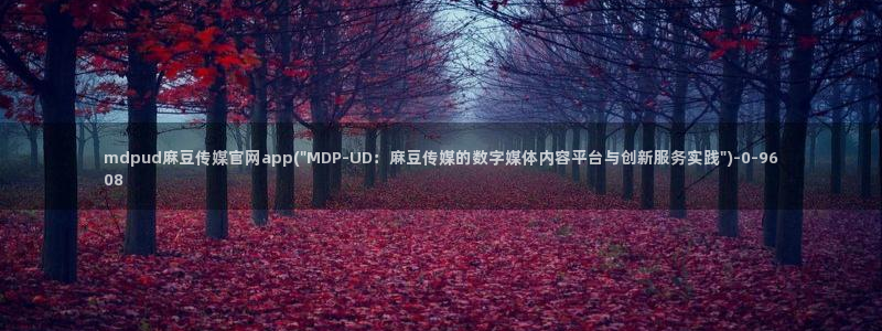 麻豆广播传媒官网